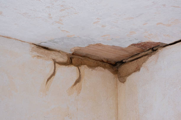 Best Water damage restoration near me  in Window Rock, AZ