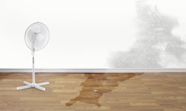 Best Flooded house restoration  in Window Rock, AZ