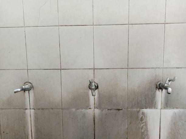Carpet water damage restoration in Window Rock, AZ