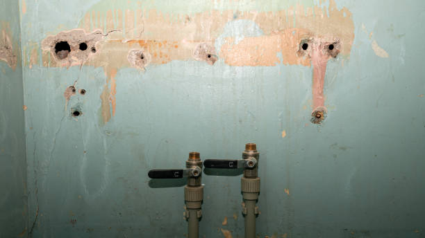 Reliable Window Rock, AZ Water damage restoration Solutions