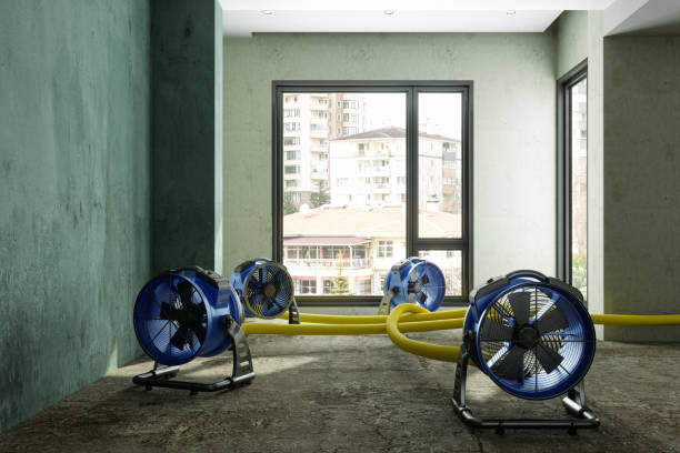 Best 24-hour water damage restoration  in Window Rock, AZ
